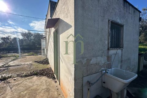 Masia a Ostuni, Brindisi, Ostuni - € 75.000 | Ref: Casolare Vert - foto 15